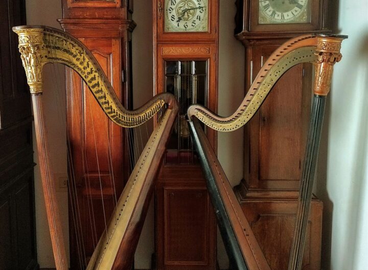 leandro_spetich_arpas_casilda_